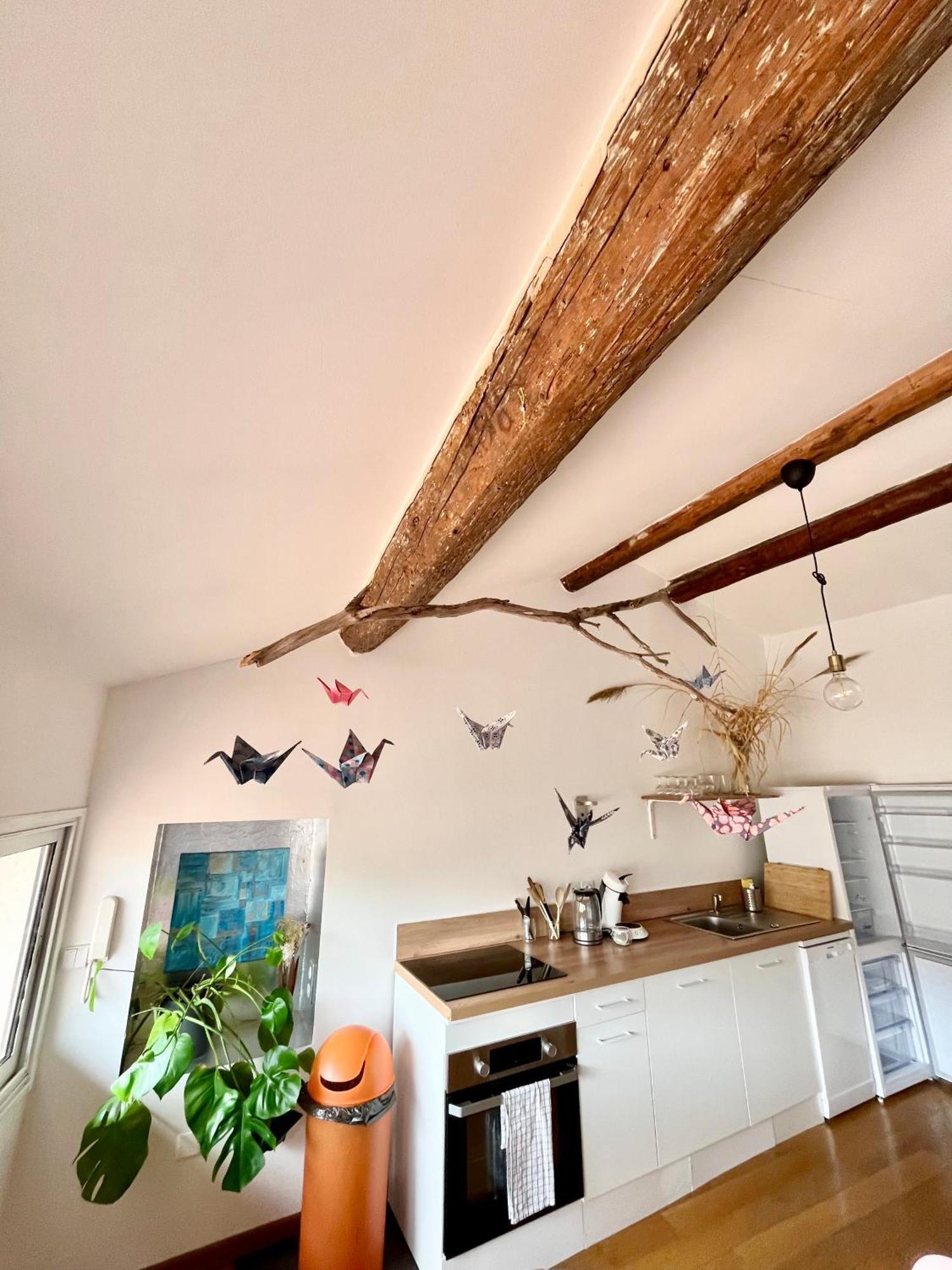 A Spacious, Sunny & Calm Loft In Avignon'S Heart Exterior foto